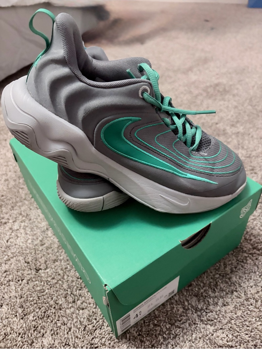 Nike Giannis Basketball shoes - size 4.5Y